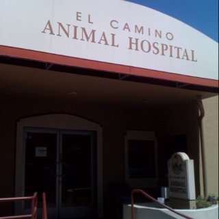 El Camino Animal Hospital *Online Store*