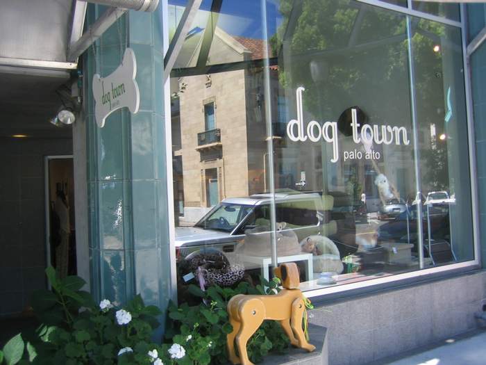 Dog Town